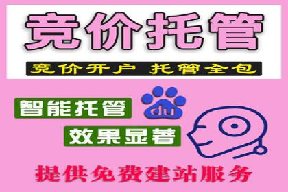 网络推广竞价策略案例分析